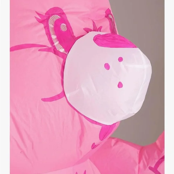 Care Bears Pink Inflatable Adult Costume - Picture 3 of 8